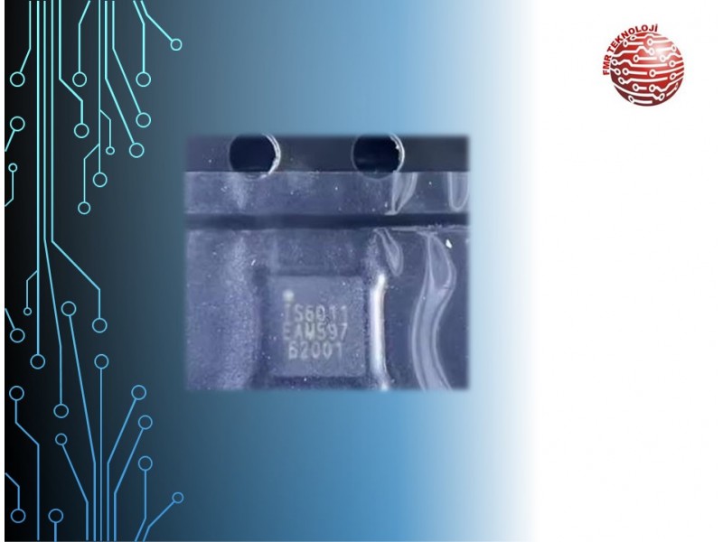 TS6011 LNB IC